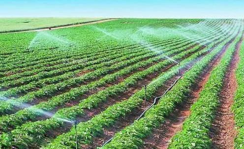 肥婆日批农田高 效节水灌溉